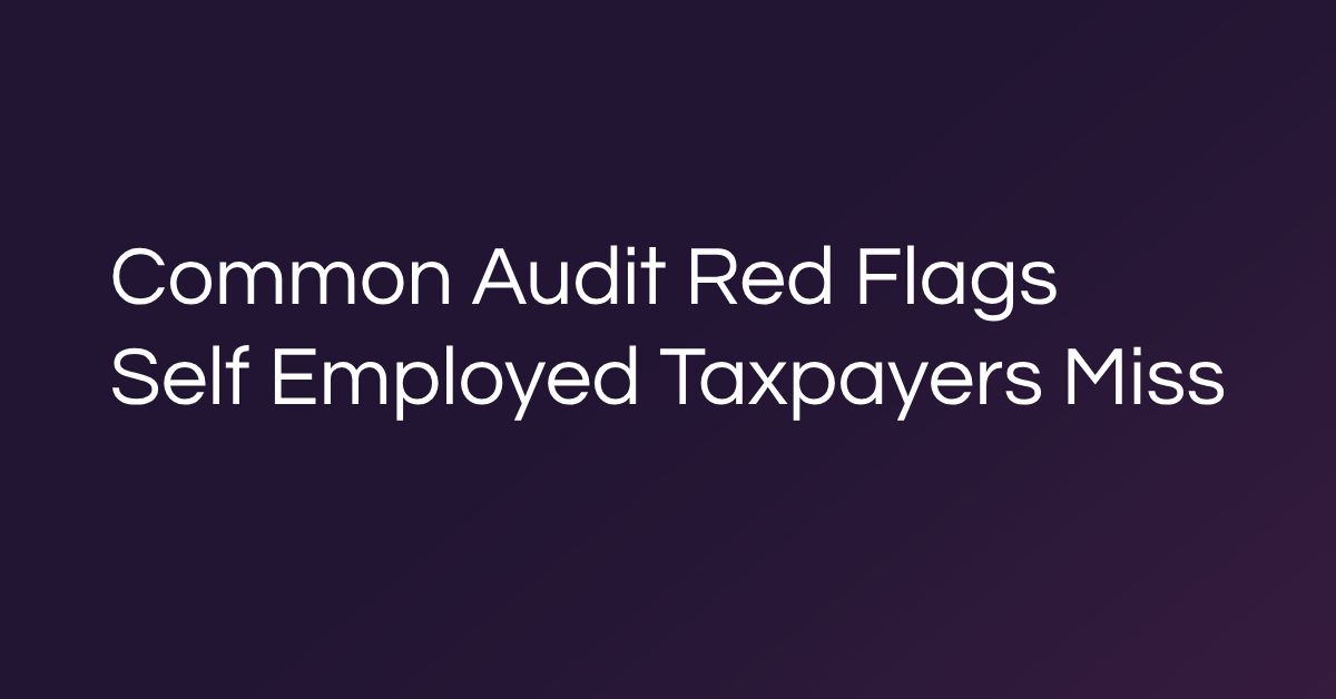 Common Audit Red Flags Self Employed Taxpayers Miss